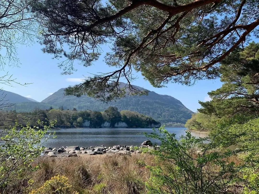 Maison d'hôtes Green Acres Guesthouse- Accommodation Only Killarney